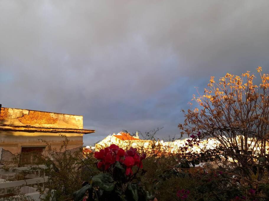 Villa At The Foot Of Acropolis. Atene Esterno foto