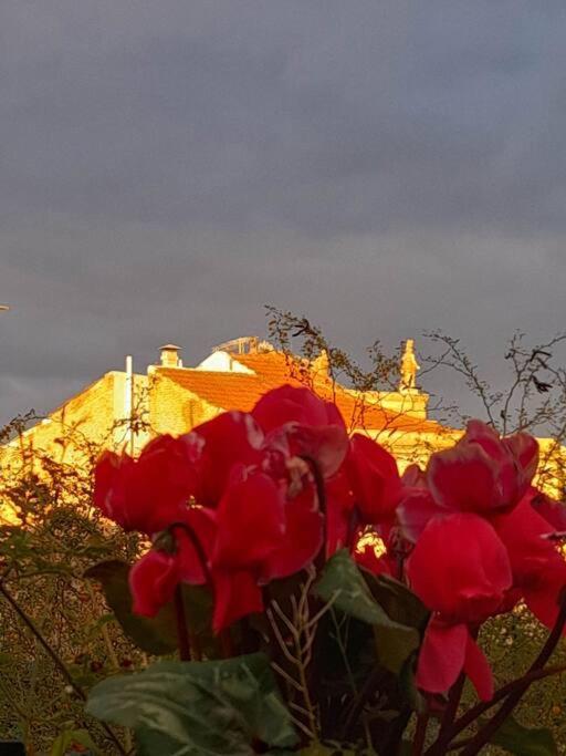 Villa At The Foot Of Acropolis. Atene Esterno foto