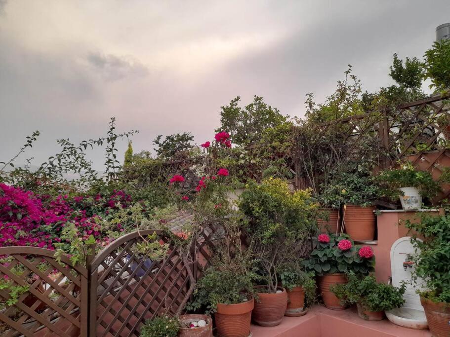 Villa At The Foot Of Acropolis. Atene Esterno foto